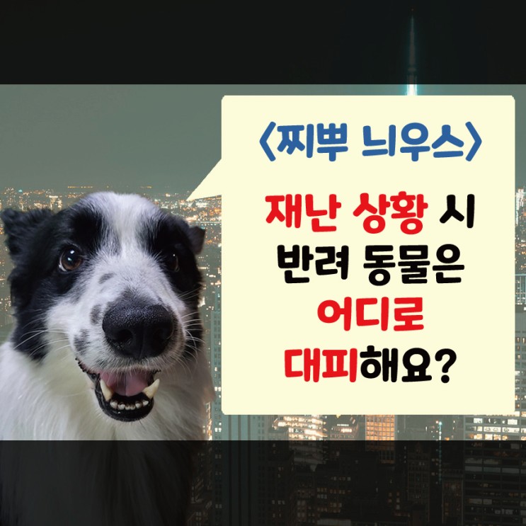 재난 상황 시 강아지 동반 대피소 어디로 가야 할까? (feat. 반려동물 재난 대응 가이드라인)