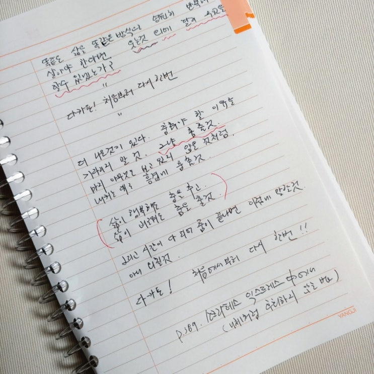  내 인생의 책 소크라테스 익스프레스 필사 릴레이 챌린지 feat. 참새님의 바톤을 받아 로또 마더님과 봉콩님께 전해요^^