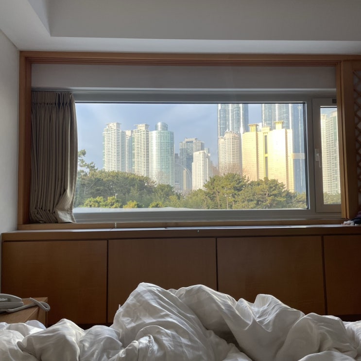  부산해운대, 웨스턴 조선호텔 2탄 아이와함께 까멜리아 석식+조식+더베이101+동백섬산책로까지
