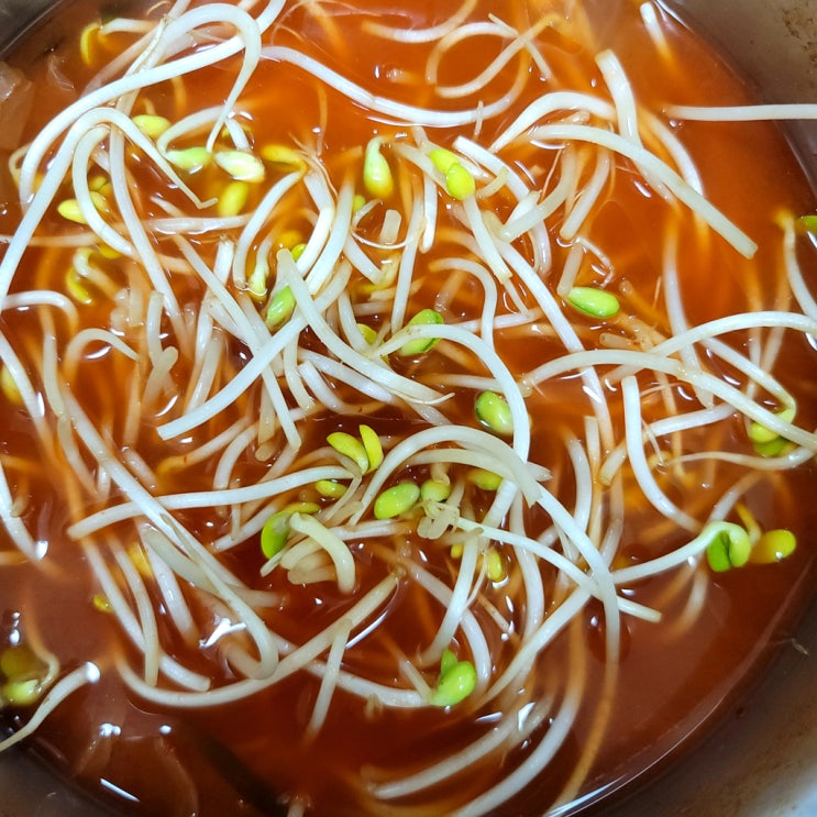  초록 콩나물 바르게 알자