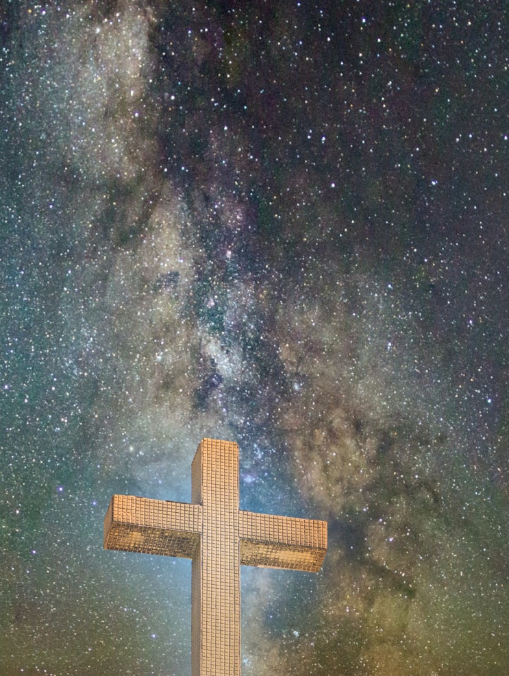 정죄함은 없다 정죄함은 없다