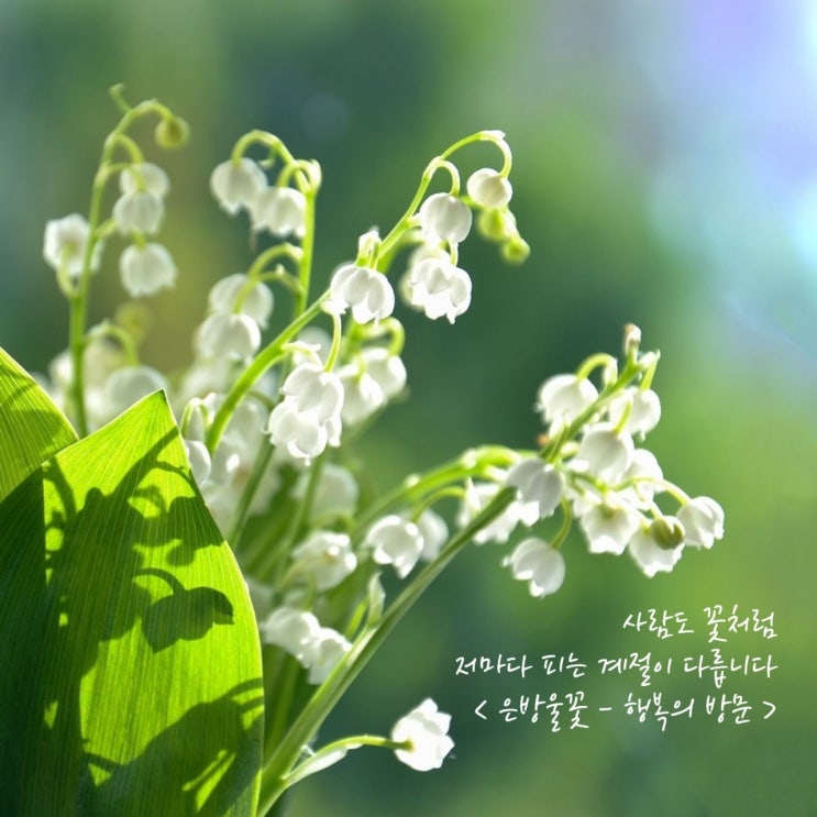  안녕, 6월