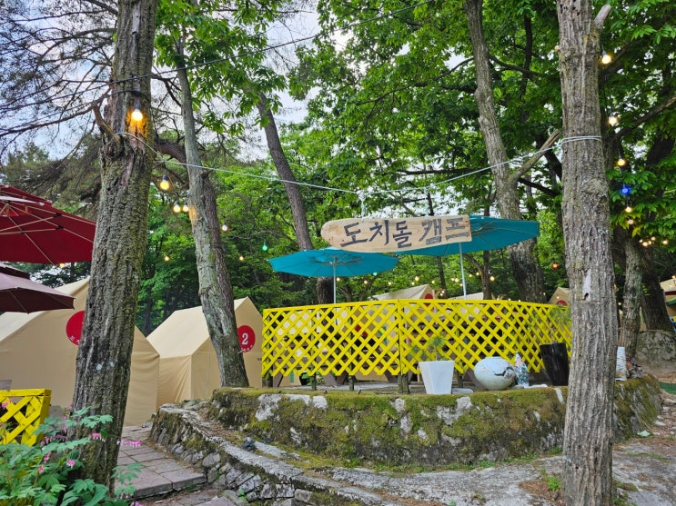 서울 근교 당일치기 글램핑 양주 도치돌 캠프