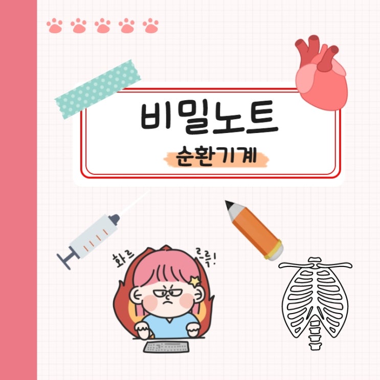 간단하게 알아보는 혈액, 혈관의 구조와 기능 :: 순환기계 어렵지 않아요! 간단하게 알아보는 혈액, 혈관의 구조와 기능 :: 순환기계 어렵지 않아요!