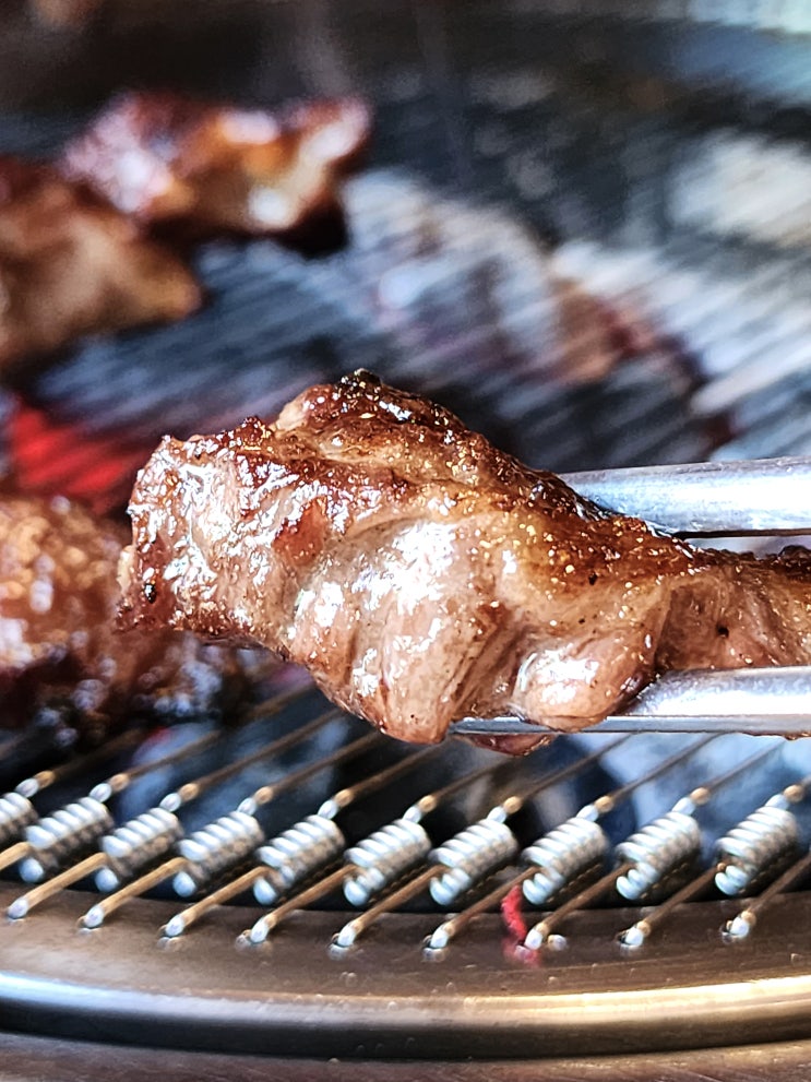 일산 맛집 <소플러스 일산점> 백석역 생 소갈비살 800g 먹고 포장까지