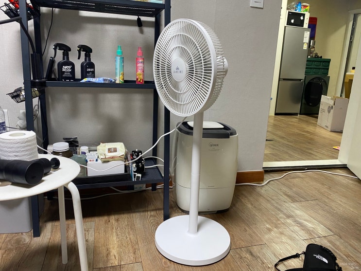  라헨느 선풍기 더 퀸 제로 써큘레이터 실망스러운 퀄리티