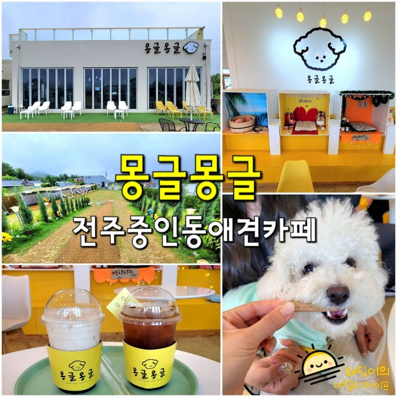 사진 8