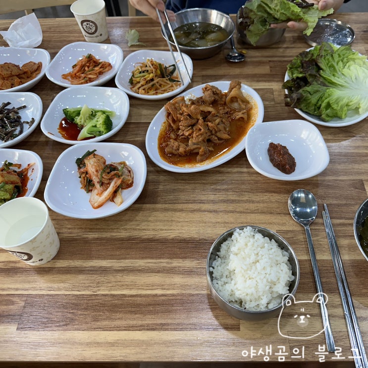  Ep. 23 야로수길은 언제 들어도 익숙치 않아