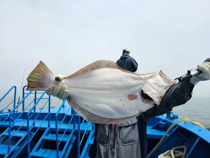 인천 바다낚시 체험 초보자 소지품 가격까지!