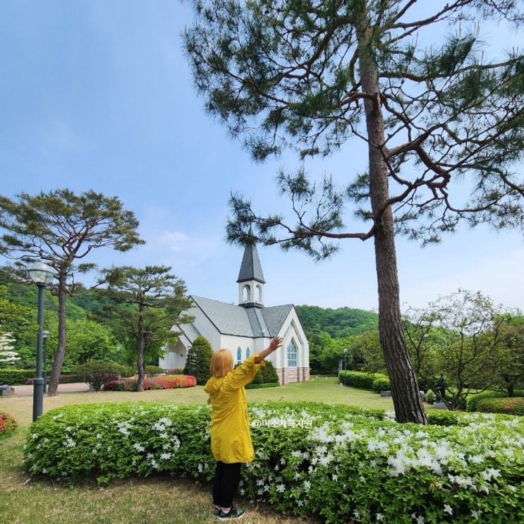 원주 갈만한곳 데이트 명소 오크밸리 교회