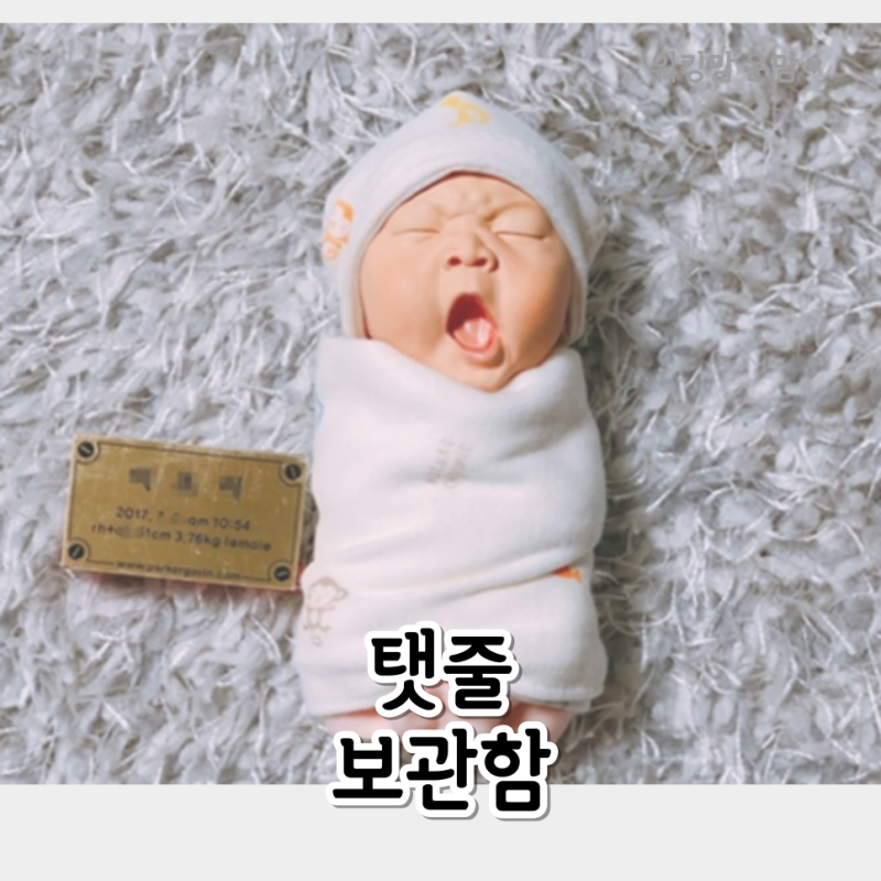 탯줄도장 DIY 셀프 만들기 신생아 탯줄 보관함 가격 크리스탈 벽조목 자개 추천 : 네이버 블로그