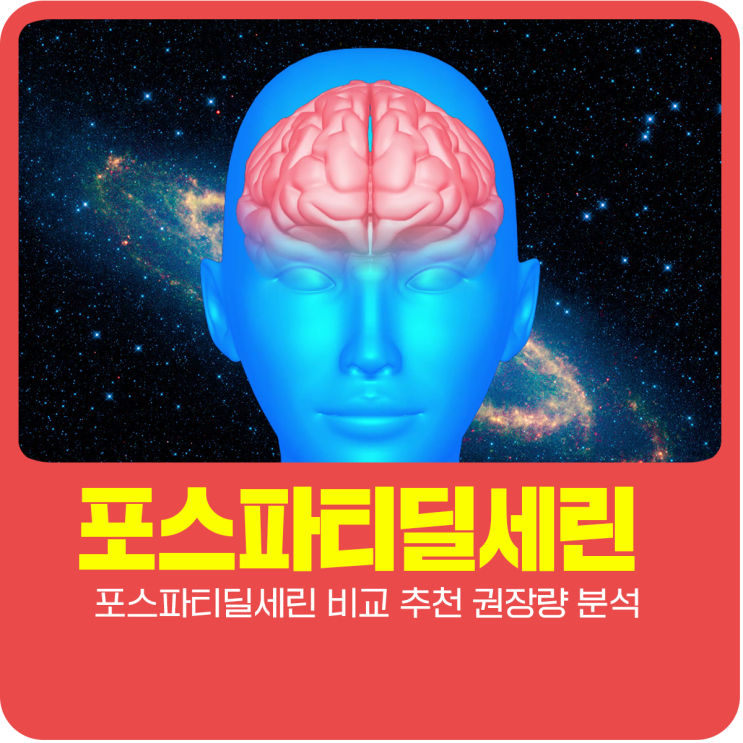  포스파티딜세린 비교 추천 뇌 영양제 효능 및 권장량 분석 정리