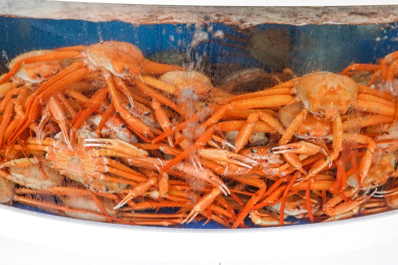 강릉 대게 맛집 주문진 수산시장 구경까지 : 네이버 블로그