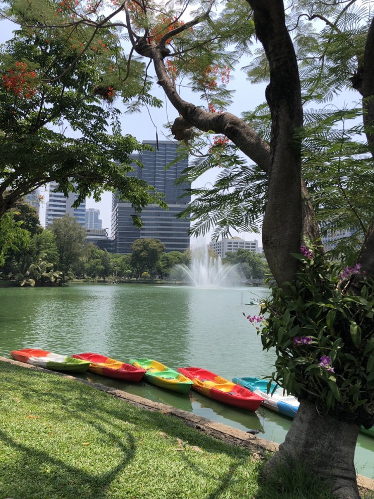 방콕 여행 코스 추천 (노스이스트, 룸피니 공원, CRAFT)