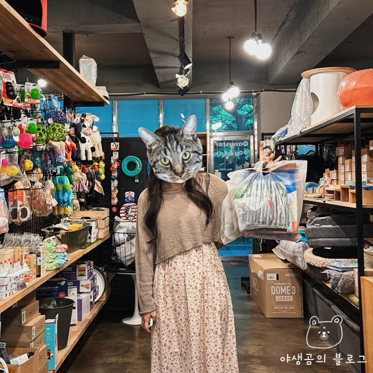  일산 애견용품 두부를 위한 선물 갱스터도그 애견편집샵