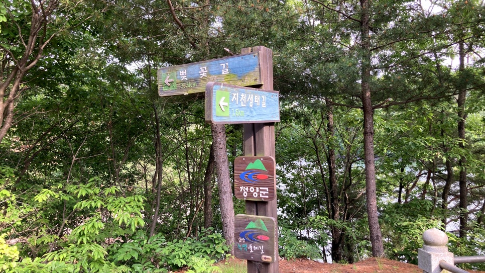 적누지 사진 5