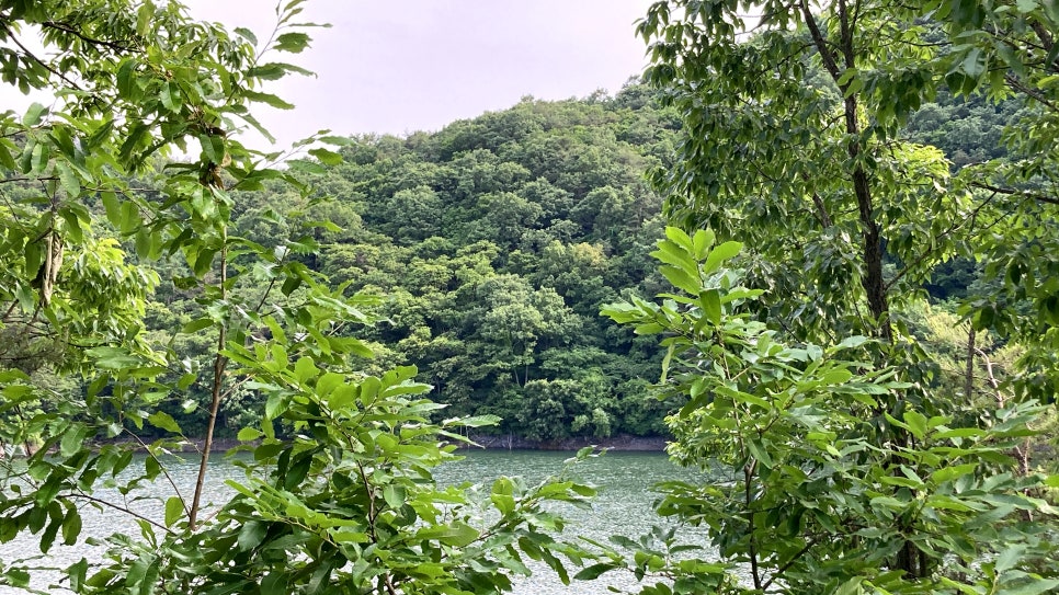 적누지 사진 3