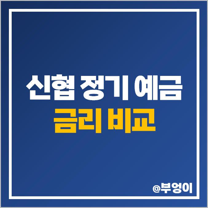 신협 정기 예금 금리 비교 : 특판 이자 제일 높은 곳, 예금자보호 한도 - 서울 부산 대구 광주 인천 전주 춘천 천안