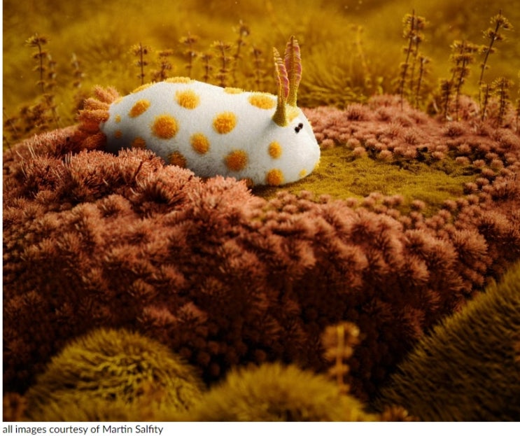 자연의 경이로움에서 영감 얻은 환상의 애니메이션 VIDEO:Fantastical creatures transcend fiction & reality in martin...