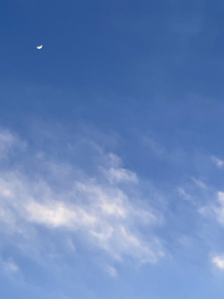  제주에 살다 보니..