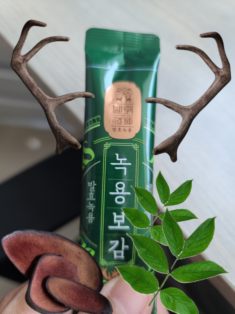바셋하운드