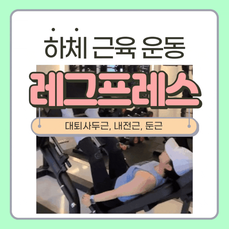  레그프레스 발위치에 따라 자극 되는 근육, 운동방법 및 주의사항 - 여자100kg 성공
