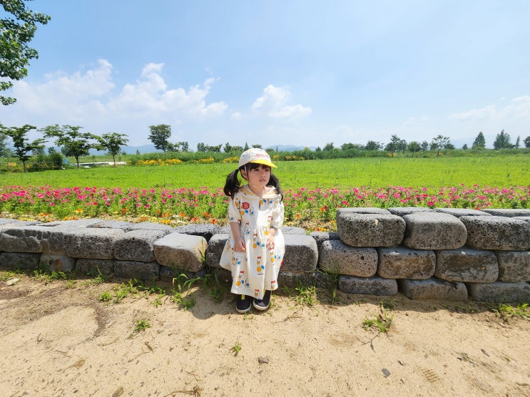  창원 가볼만한곳 6월 대산플라워랜드