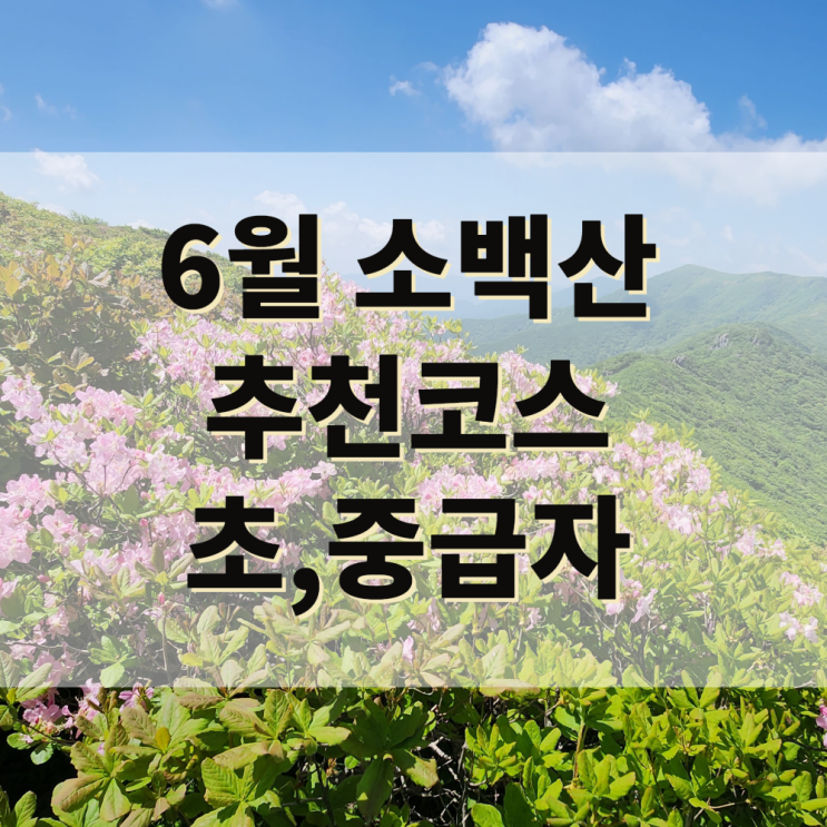  단양 소백산 등산코스 추천, 어의곡-비로봉-국망봉,6월 철쭉