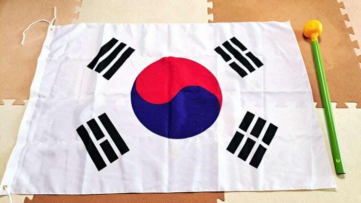 다이소 태극기 국기게양 내돈내산, 현충일은 조기게양 아시죠? 다이소 태극기 국기게양 내돈내산, 현충일은 조기게양 아시죠?