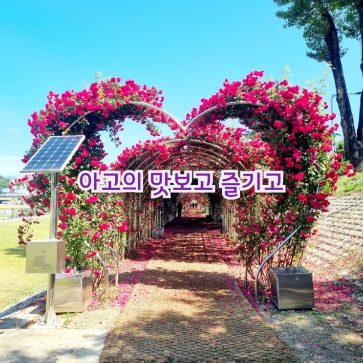 아고의 맛보고 즐기고~ 국내여행 W21 W22