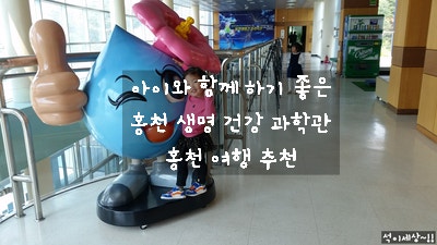 [강원도 홍천] 홍천 생명 건강 과학관 / 아이와 함께 하면 좋은 곳 / 홍천 가볼 만한 곳 / 홍천 여행