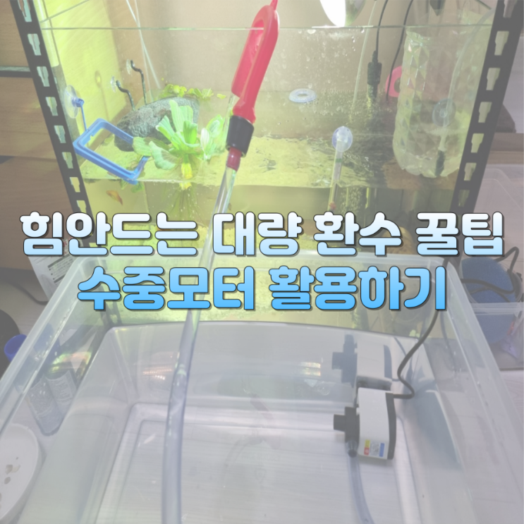  손쉬운 대량 환수 꿀팁: 수중모터 활용 환수하기