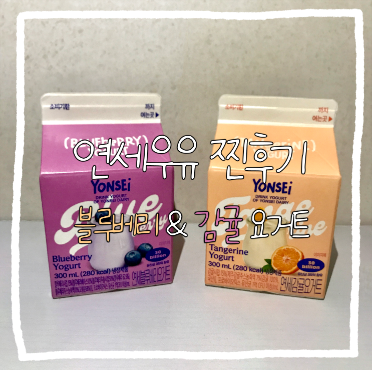  연세우유 요거트 찐 리뷰