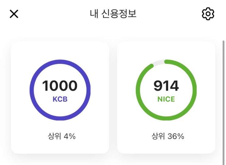  나이스 KCB 신용점수 900점 1000점 차이나는 이유