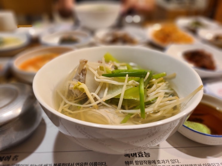  정갈했던 포항 아침식사 죽도동 맛집 삼오복집 복어탕