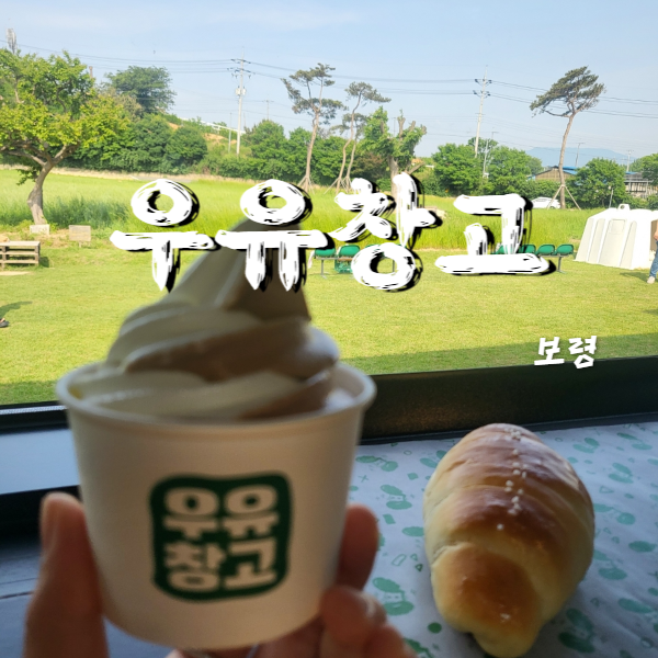  보령 당일치기 여행 :: 푸릇푸릇 사진 찍기 좋은 곳 보령 우유창고+체험 정보