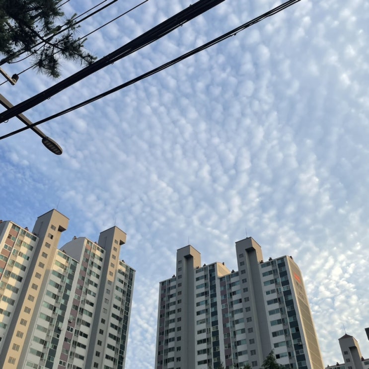  흔쾌한 사람