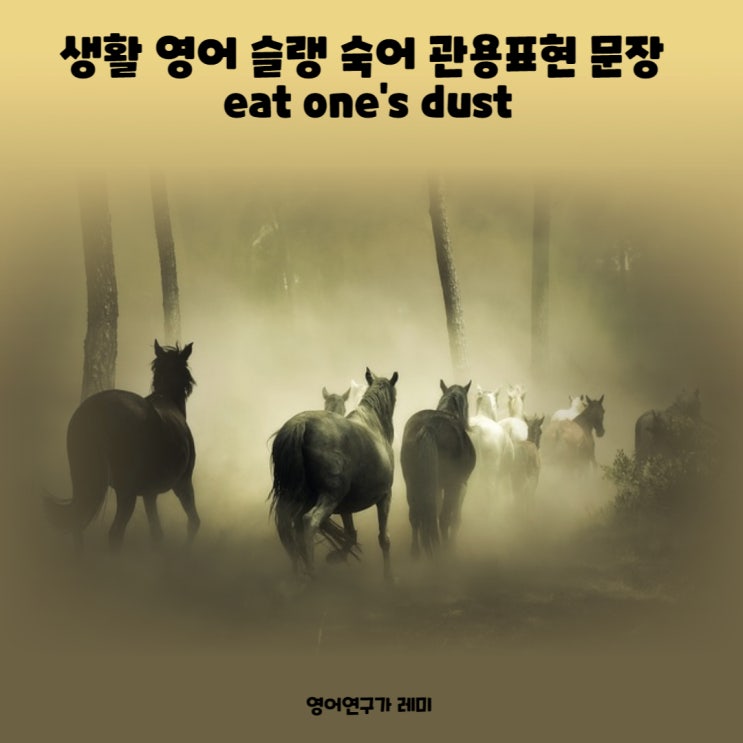생활 영어 슬랭 숙어 관용표현 문장 eat one's dust 생활 영어 슬랭 숙어 관용표현 문장 eat one's dust