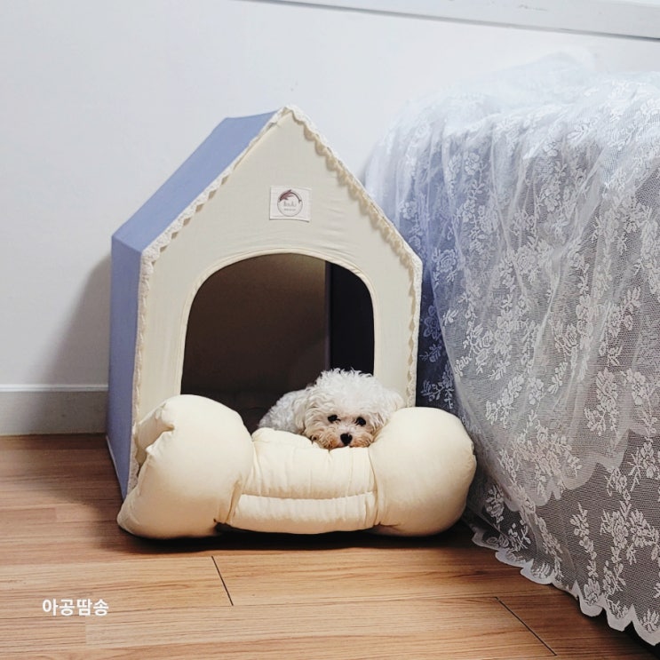  강아지 텐트 하우스 집 추천 보뚜 애견 쿠션 방석