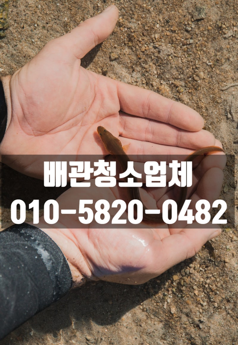 장어꿈 해몽을 해드립니다!