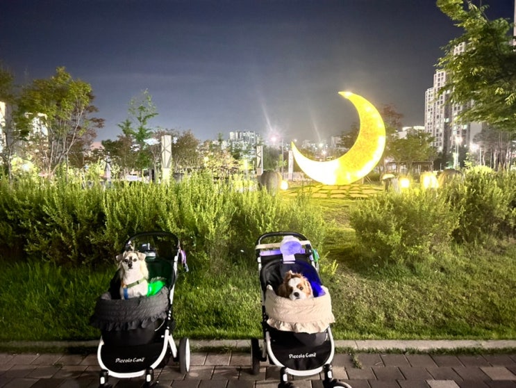  하남 미사호수공원 주차장 무료 주변 카페 많음 분수대 예쁨