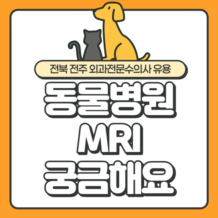  전북 전주 동물병원 MRI, 걱정과 궁금한 것 알려드릴게요.