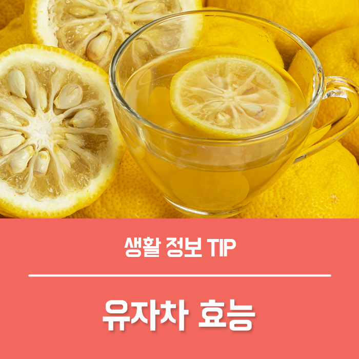  유자 효능 유자차 효능 5가지, 임산부 유자차 괜찮을까요?