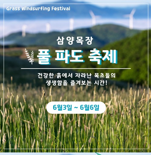  대관령 삼양목장, 풀파도축제 6월3일~6일 (강원 평창 양떼목장)