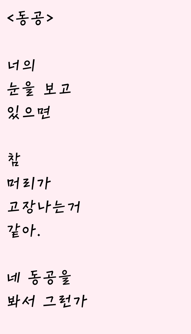  머리가 고장난 자작시: 동공