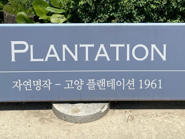  서울 근교 유아 애견 자연체험 고양 플랜테이션 1961