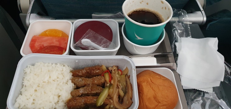  [2023.05] 홍콩 마카오에서 습도지옥을 맛보다(1) 인천공항 옥토퍼스카드, KTVIP혜택, 캐세이퍼시픽으로 인천에서 홍콩, 기내식, 하겐다즈, 홍콩구디스바우처