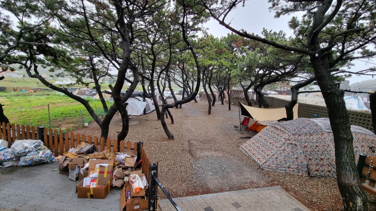  가족단위 주말여행에는 서울 근교에 위치한 '을왕리 솔트 캠핑장'