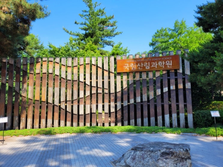  홍릉수목원 홍릉숲 여름날 가볍운 산책코스로 추천