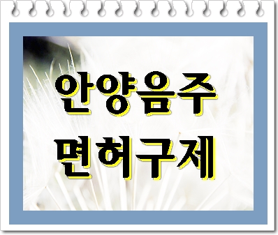  안양 음주단속 걱정이라면